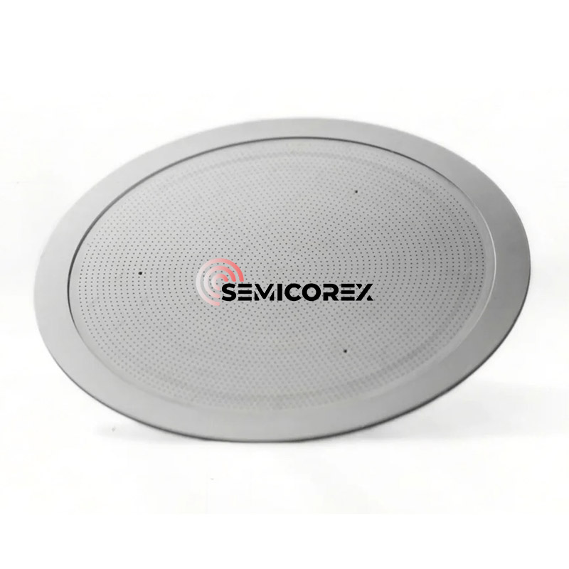 CVD SiC Туш глави