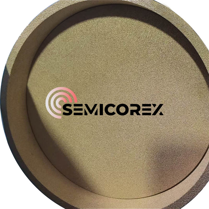 Порозни прстени од тантал карбид